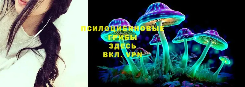 Галлюциногенные грибы Psilocybine cubensis  Кадников 